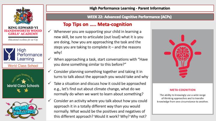 Meta Cognition